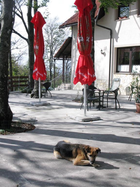 Planinarski Centar Petehovac Delnice Exterior photo